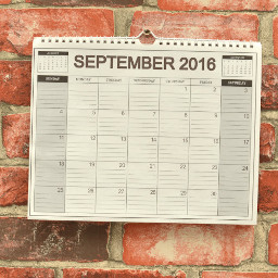 Wall calendars